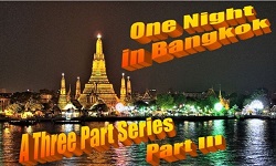 One Night in Bangkok - Part III: Baht Actors: Friend of the Sea and Earth Island Institute